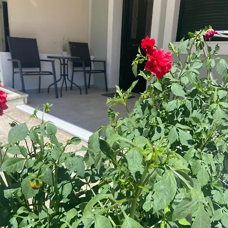 Apartment Rhea's